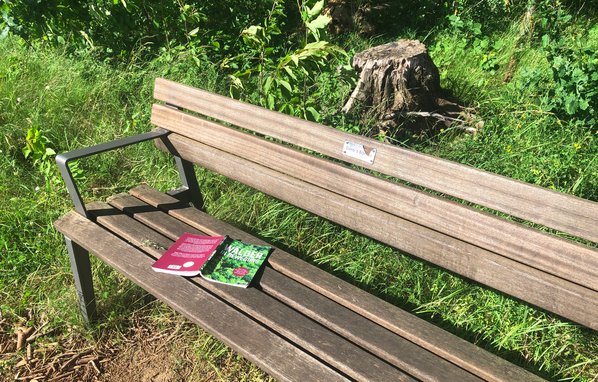 Reise in die Zukunft des Waldes