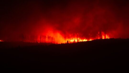 Waldbrandgefahr steigt rasant
