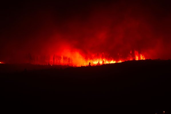 Waldbrandgefahr steigt rasant