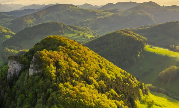 Entspannungsprogramm im Wald