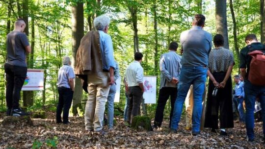 Wald und Wirtschaft hautnah