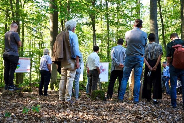Wald und Wirtschaft hautnah