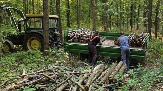 Besser wirtschaften im Kleinprivatwald