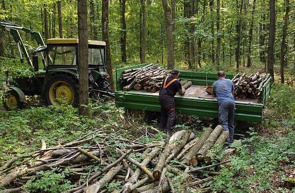 Besser wirtschaften im Kleinprivatwald