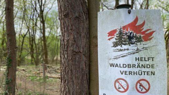 Waldbrände als Herausforderung: Vorsorge komplexes Zusammenspiel