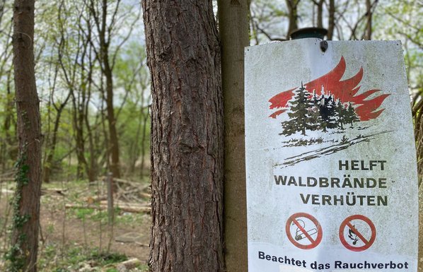 Waldbrände als Herausforderung: Vorsorge komplexes Zusammenspiel