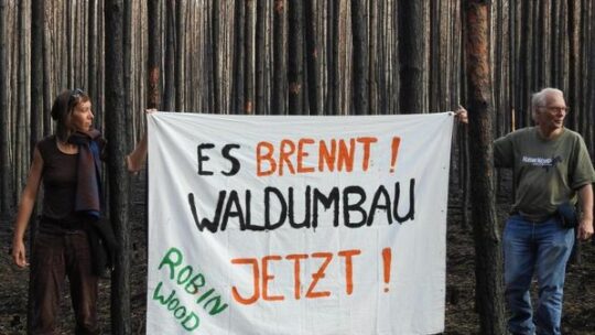 Wilde Wälder der beste Brandschutz