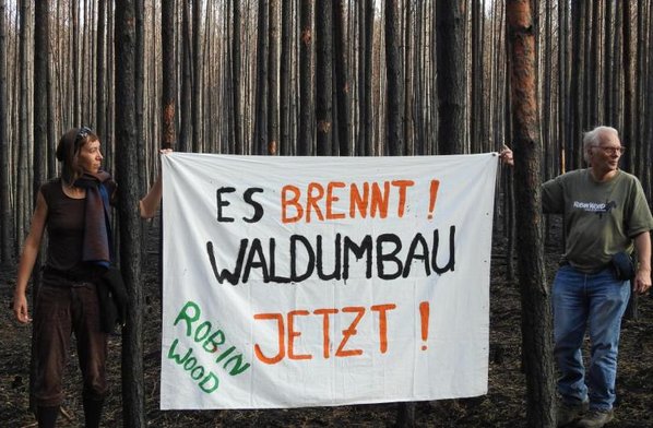 Wilde Wälder der beste Brandschutz