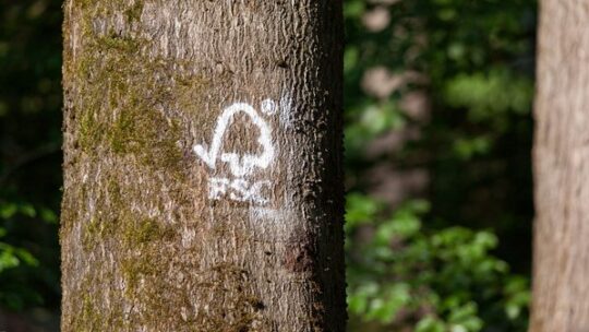 Wald in NRW: nachhaltig, ökologisch, sozial