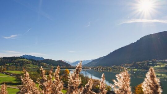Das Allgäu bekennt Farbe