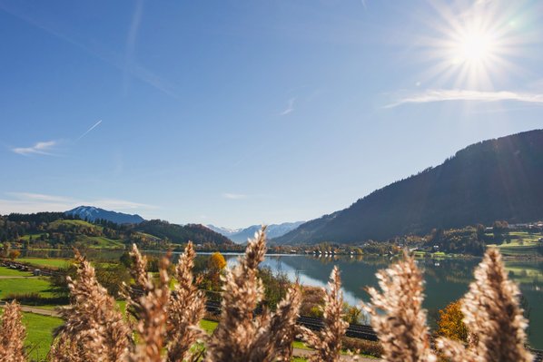 Das Allgäu bekennt Farbe